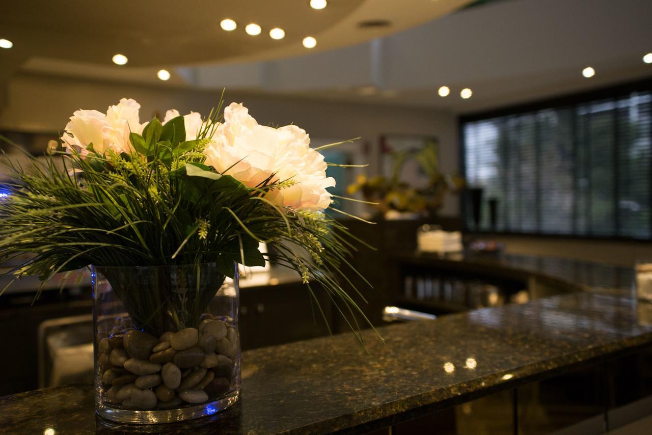 Hotel Motel Ascot Лисоне Екстериор снимка